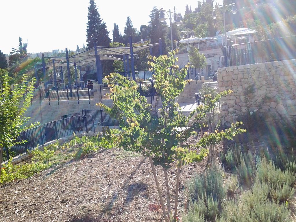 القدس بيت ضيافة روزاري سيستر عين كارم المظهر الخارجي الصورة